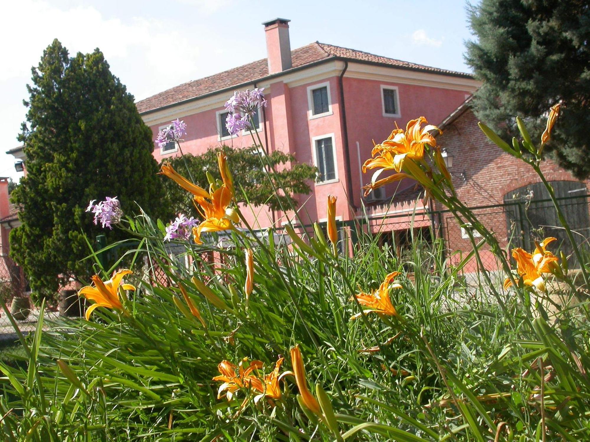 Bordeghina B&B In Farmhouse Pontecchio Polesine Exterior foto